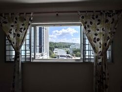 Blk 250 Gombak View (Bukit Batok), HDB 4 Rooms #627437411
